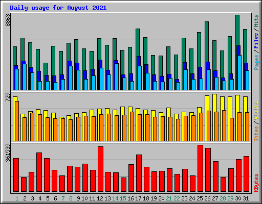 Daily usage for August 2021