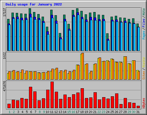 Daily usage for January 2022