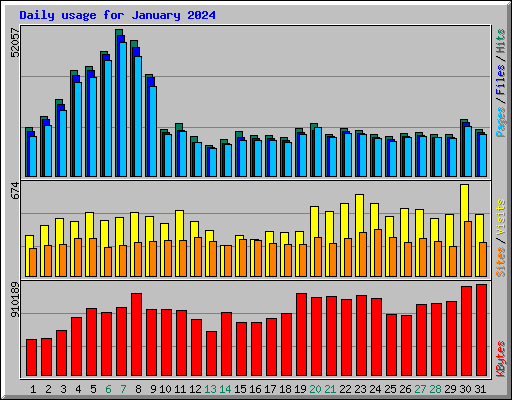 Daily usage for January 2024