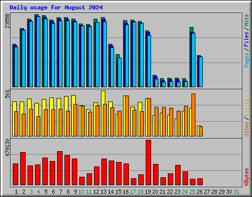 Daily usage for August 2024