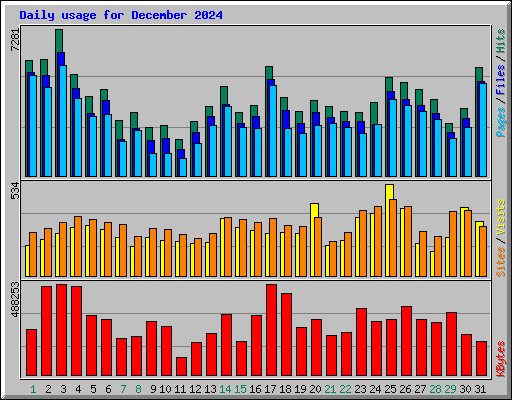 Daily usage for December 2024