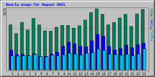 Hourly usage for August 2021