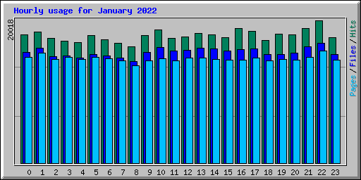 Hourly usage for January 2022