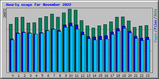 Hourly usage for November 2022