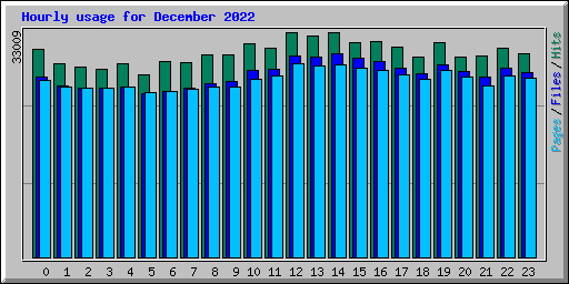 Hourly usage for December 2022