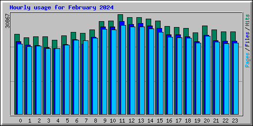 Hourly usage for February 2024