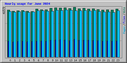 Hourly usage for June 2024