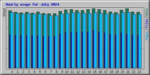 Hourly usage for July 2024