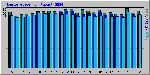 Hourly usage for August 2024