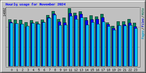 Hourly usage for November 2024