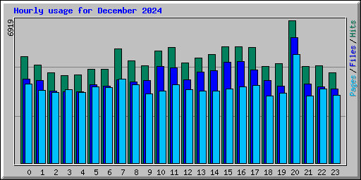 Hourly usage for December 2024