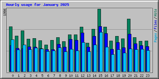 Hourly usage for January 2025